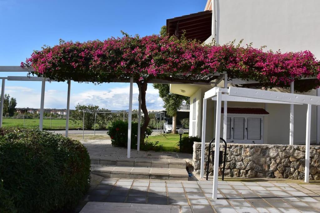 Villa Aqua Boghaz Bagian luar foto
